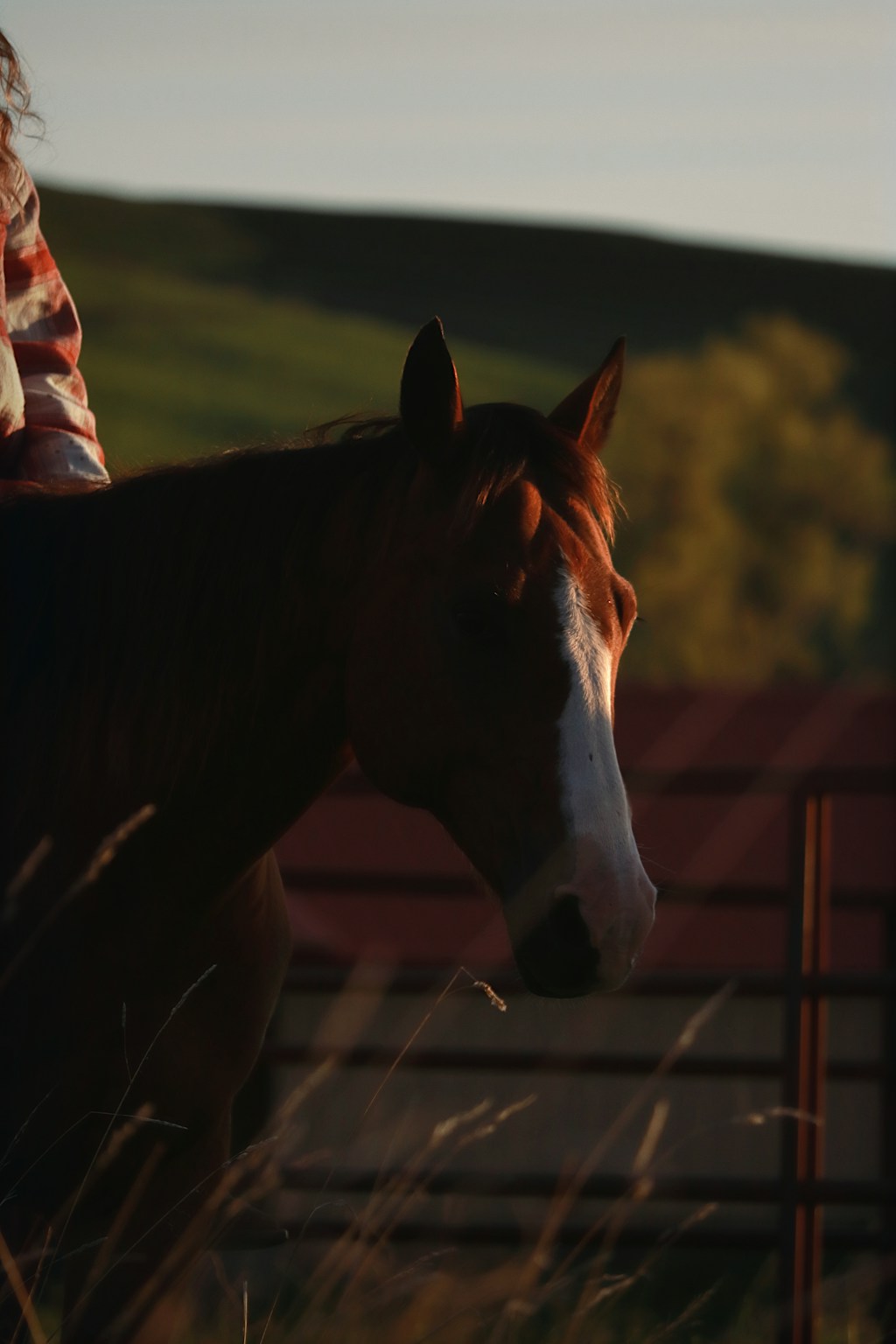 A horse and rider at dusk by a ranch fence